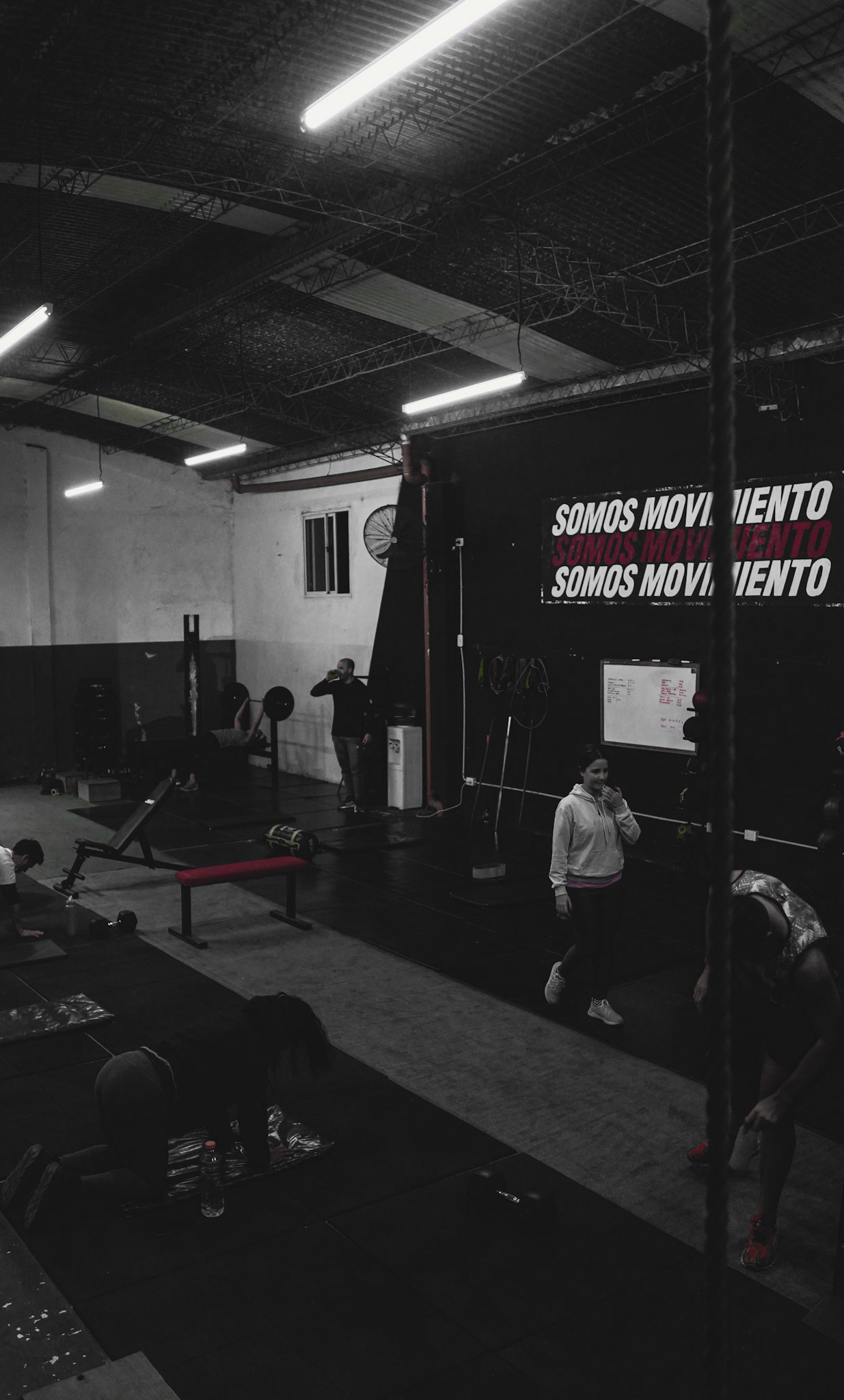 Interior del Gimnasio Haltera